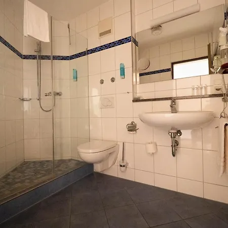 Am Rhein Hotel 3*