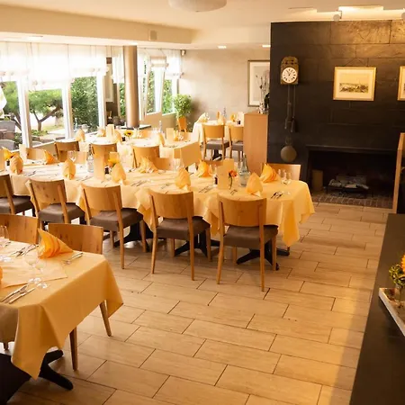Hotel Am Rhein Andernach