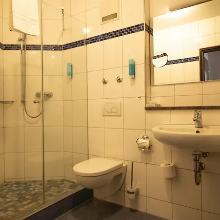 Hotel Am Rhein 3*