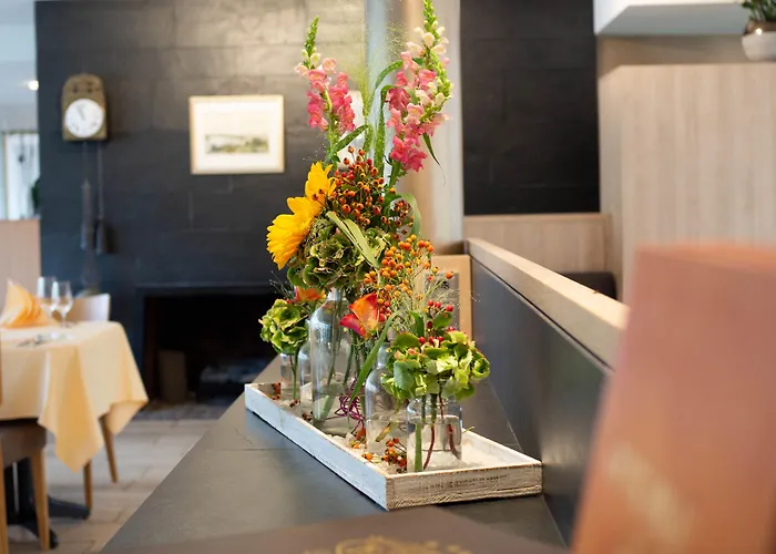 Am Rhein 3* Andernach