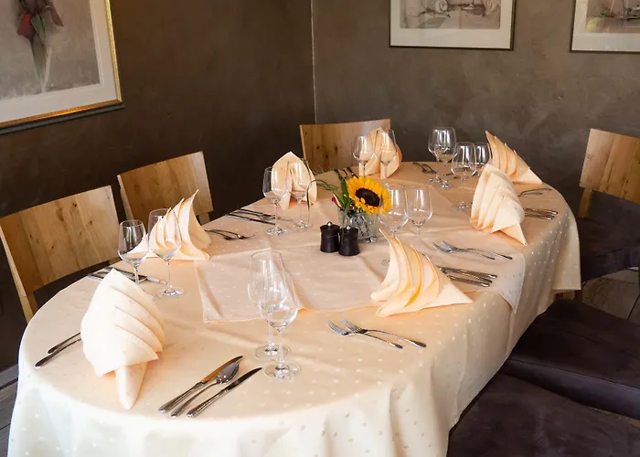 Am Rhein 3* Andernach